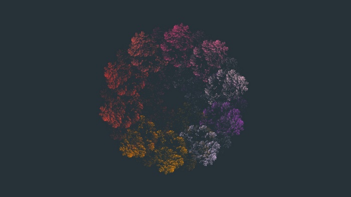 Fractal pattern of colorful trees in a circle