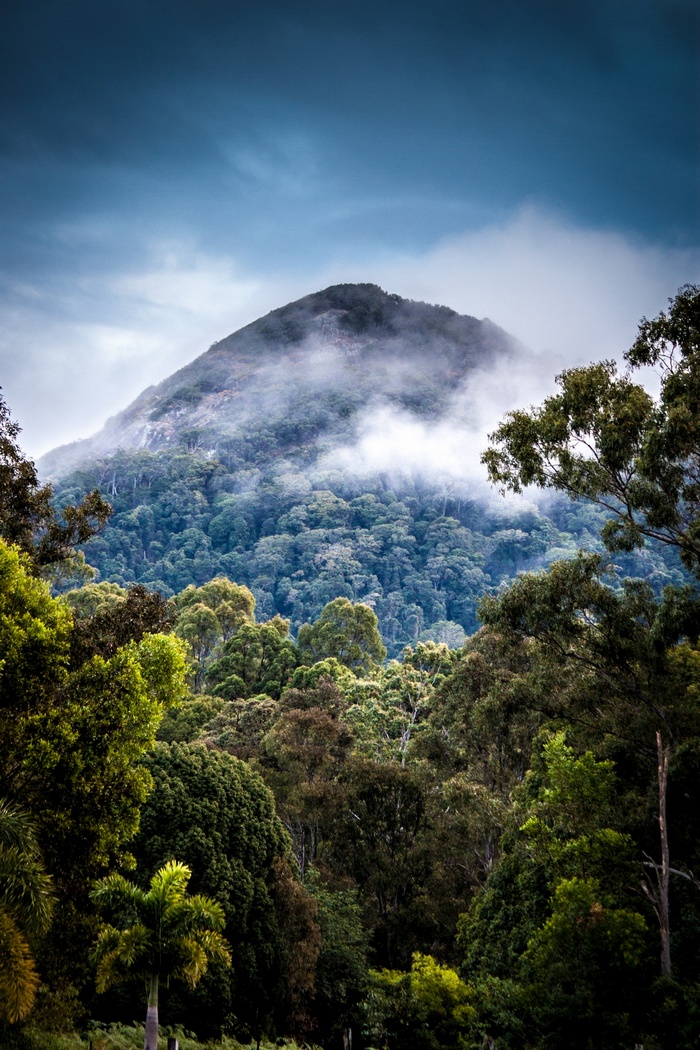 Misty mountain peak above a dense rainforest