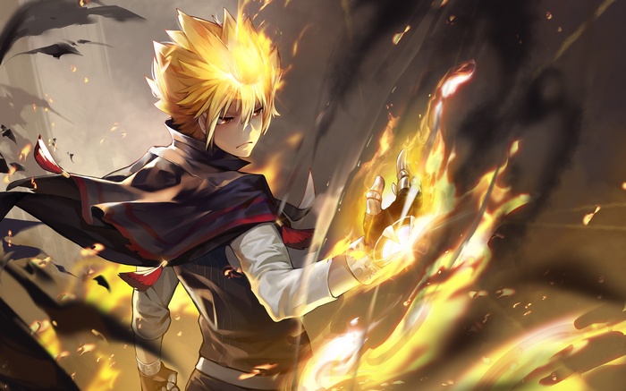 Tsunayoshi Sawada from Katekyo Hitman Reborn! with fire