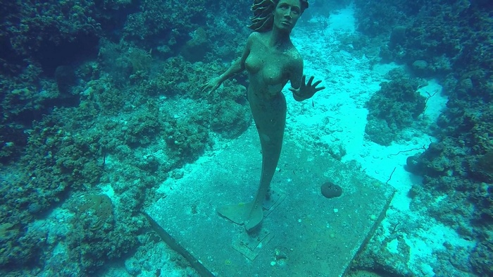 Underwater mermaid statue on coral reef