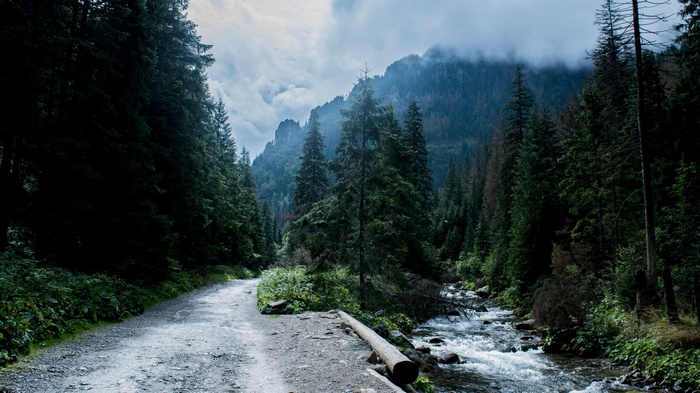 Mountain road and river in Tatra Mountains forest