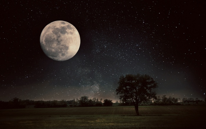 Full moon over a field with a lone tree