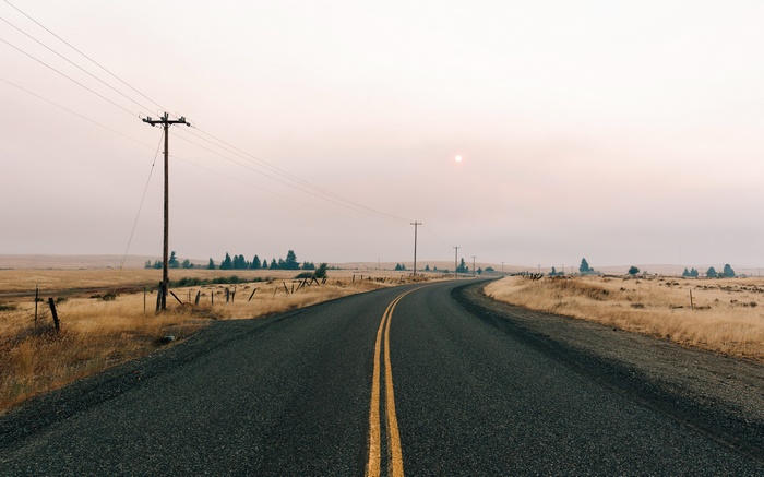 Empty road through a dry landscape with telephone poles
