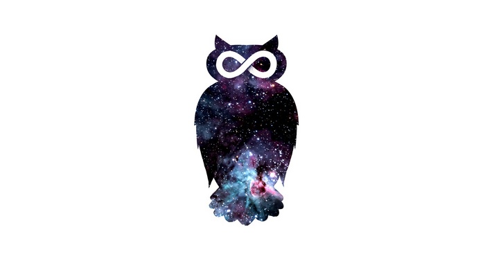 Silhouette of an owl with infinity symbol filled with galaxy