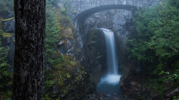 Waterfall under a stone bridge in a misty forest