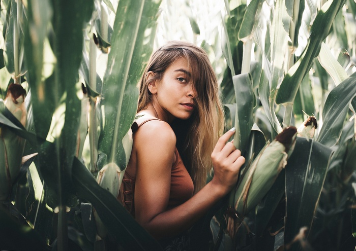 Woman in a cornfield