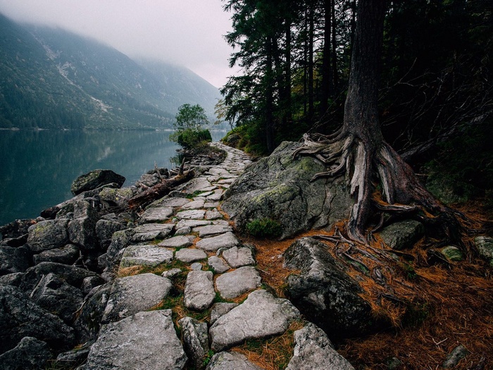 Stone path along a lake with mountains and trees