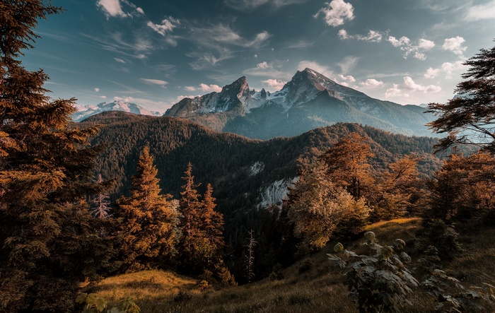 Autumn mountain landscape with pine trees