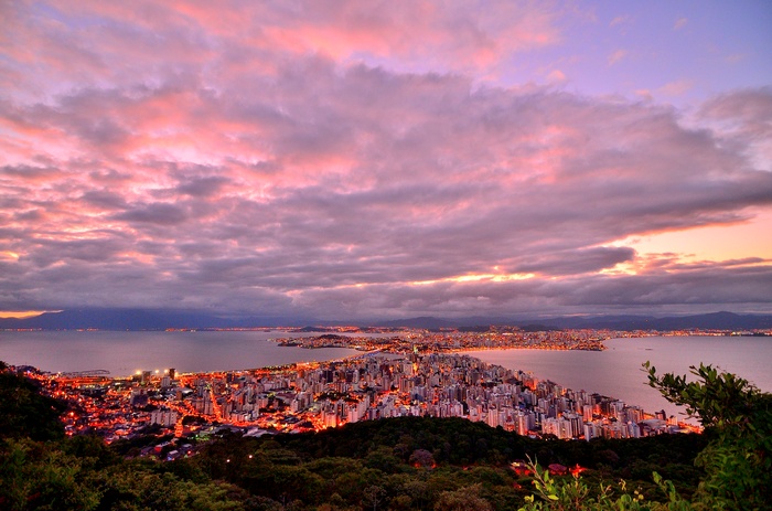 City lights at sunset over the sea from a forest viewpoint