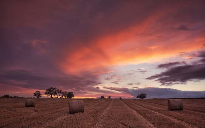 Hay bales in a field at sunset
