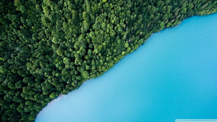 Aerial view of a forest meeting a cyan lake