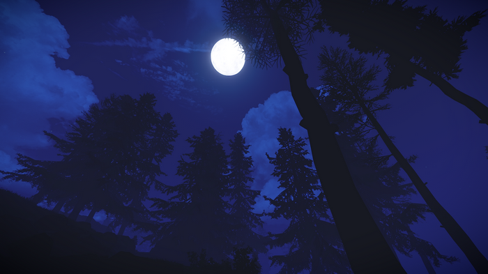 Night sky with moon over trees in Rust