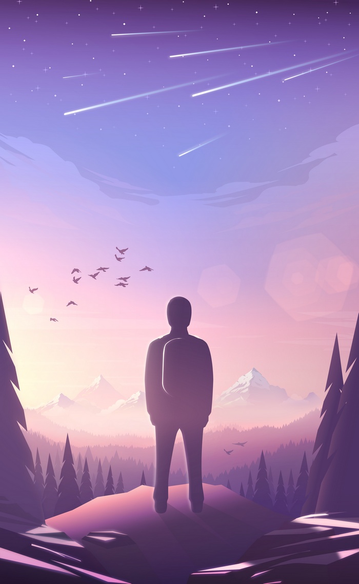 Silhouette of a person with a backpack watching shooting stars