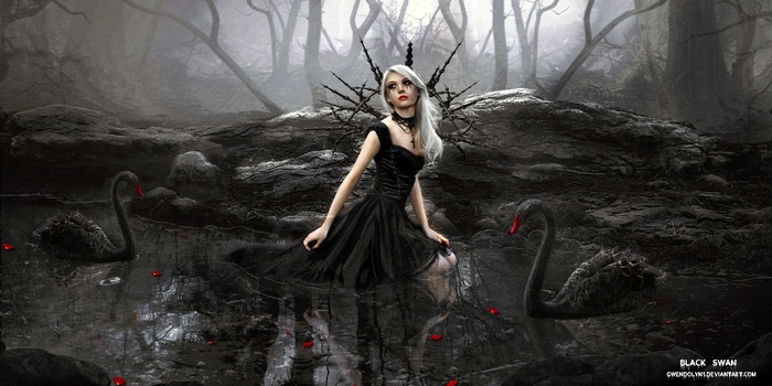 Woman in black dress with black swans in dark forest