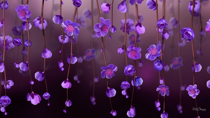 Purple flowers hanging from branches