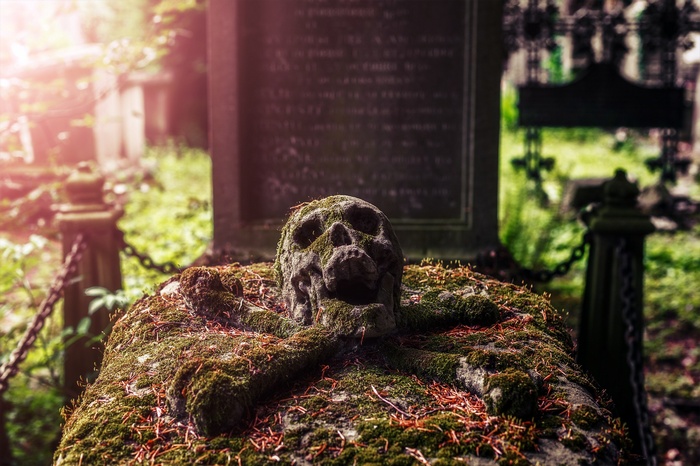 Moss-covered skull and crossbones on a tombstone