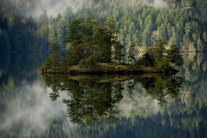 Misty forest island reflected in a calm lake