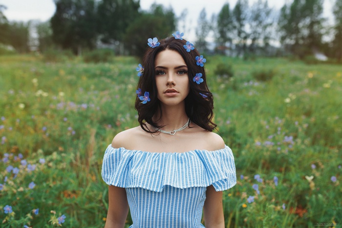 Woman with blue flowers in her hair in a field