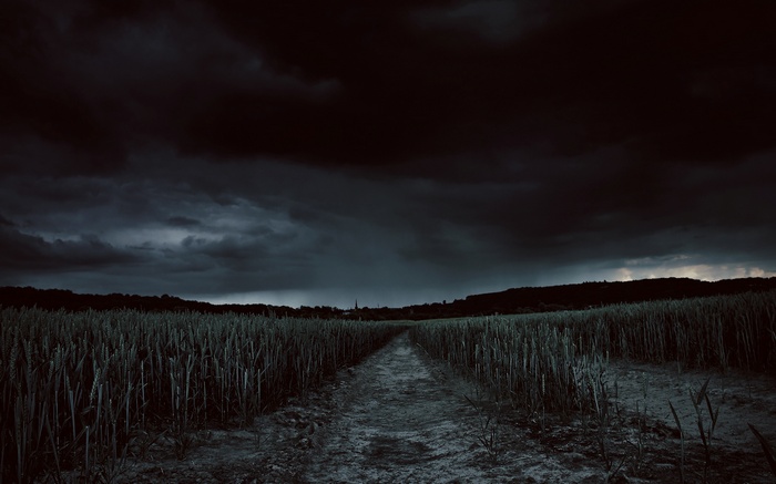 Dirt path through a field under a dark sky