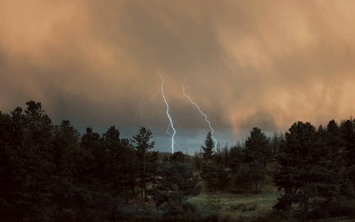 Lightning strikes over a dark forest under stormy clouds