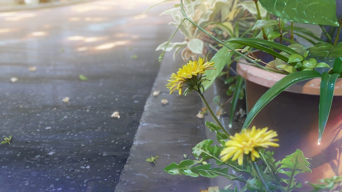 street, Kimi no Na Wa, realistic, Your Name, flowerpot, dandelion