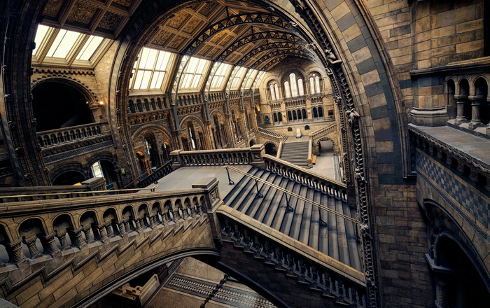 Interior of the Museum of Natural History with grand staircase