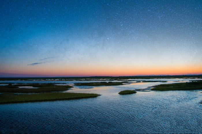 Starry sky over a marsh at twilight