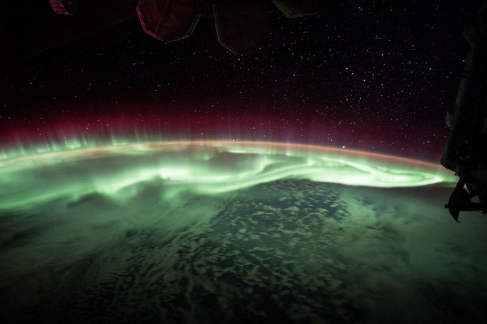 Aurorae over Earth from Space