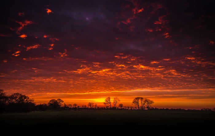 Dramatic sunset over a dark landscape with silhouetted trees