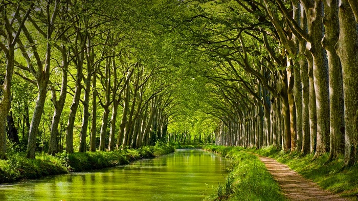 Tree-lined canal with a dirt path in France