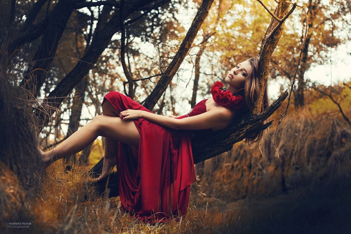 Woman in red dress lying on a tree branch