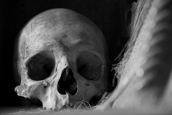 500px, skull, monochrome, Adam Burke