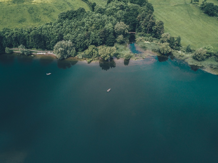 Aerial view of a lake with trees and green fields