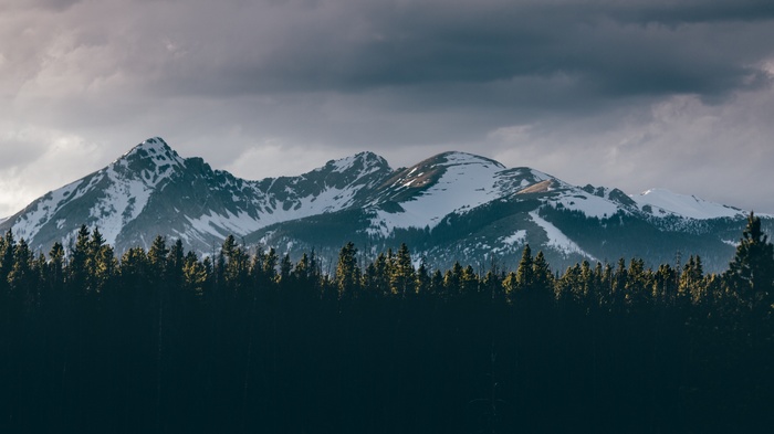 Snow-capped mountains behind a dark forest