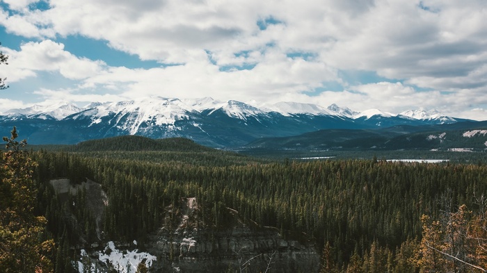 Snow-capped mountains over a dense evergreen forest