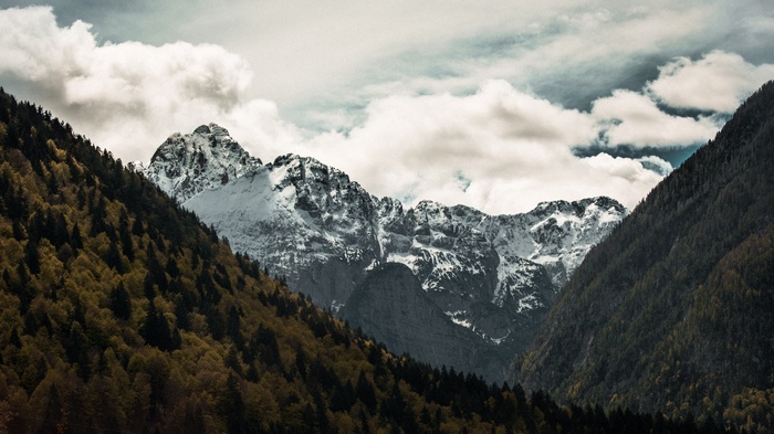 Snow-capped mountains rise above forested slopes under a cloudy sky