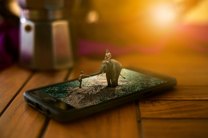 Man and elephant on a smartphone screen
