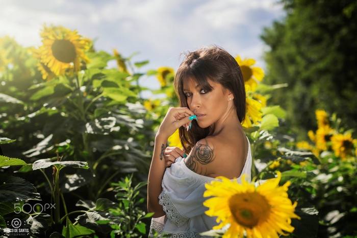 Woman with tattoos in a sunflower field