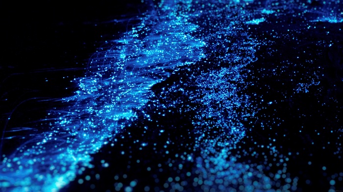 Bioluminescent plankton in the ocean at night