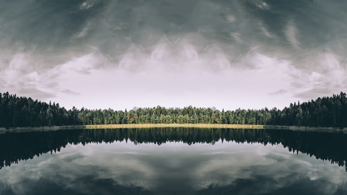 Symmetrical forest reflected in a calm lake under cloudy sky