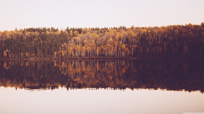 Autumn forest reflected in a calm lake
