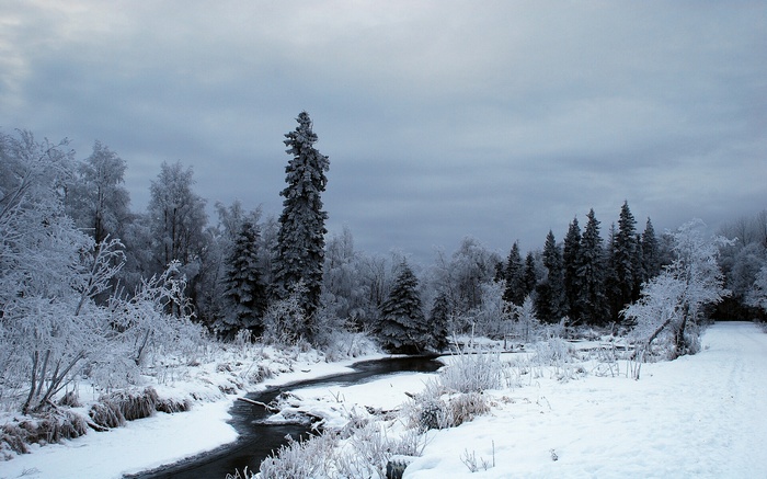 Frozen forest with a winding river under a cloudy sky