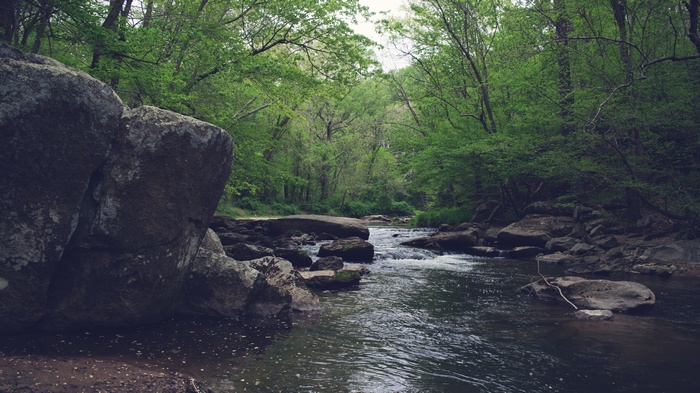 River flowing through a rocky forest