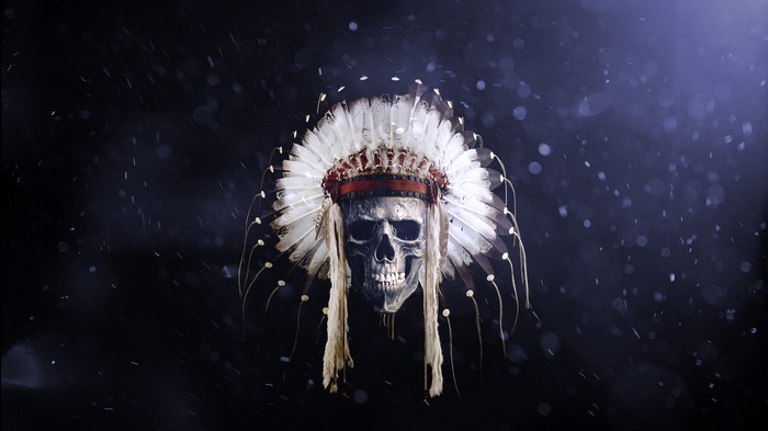 Skull wearing a Native American headdress