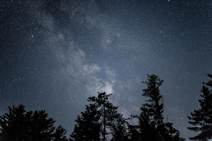 Starry night sky over silhouetted trees