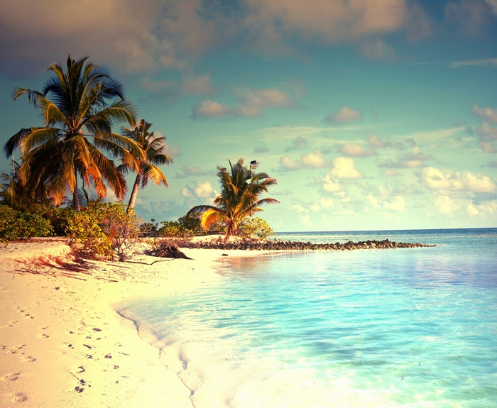 Tropical beach with palm trees and turquoise water