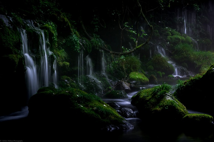 Mossy waterfalls and stream in a dark forest