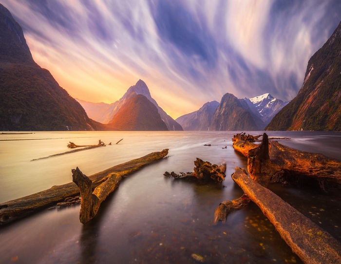 Milford Sound New Zealand Landscape with Mountains and Driftwood