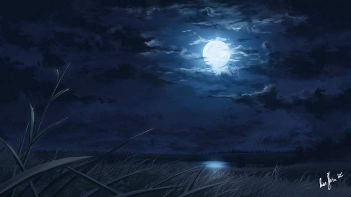 Moonlit lake with reeds and clouds