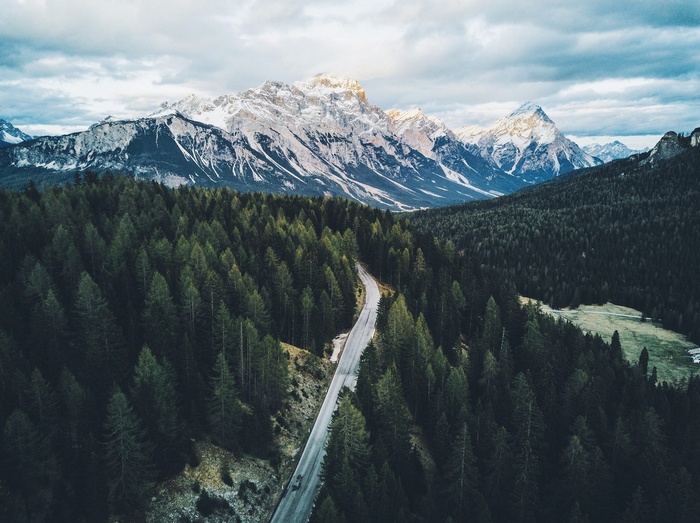 Road through forest to snow-capped mountains